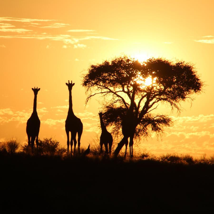 Kalahari Red Dunes Lodge Kalkrand Eksteriør bilde